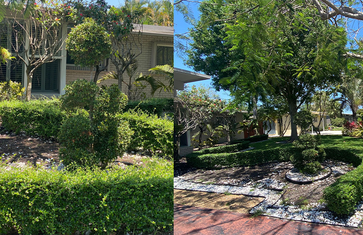 Trimming Hedges
