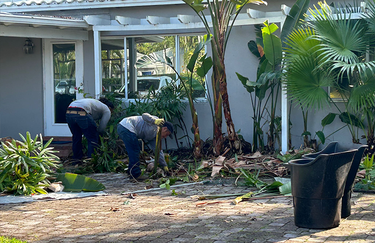 Yard Clean- Ups