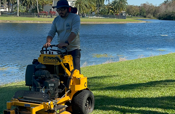 Lawn Care & Mowing
